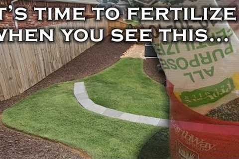 How to easily know when to fertilize your lawn just by looking at it. 3 telltale signs it''''s time.