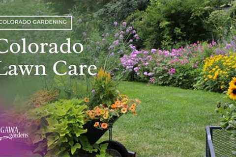 Colorado Lawn Care