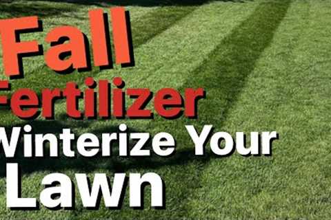 FALL FERTILIZER || Beautiful Lawns Start in the Fall