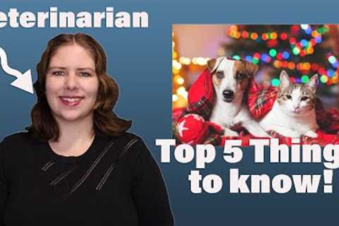 Holiday Pet Safety Tips You NEED to Know! | A Veterinarian Explains