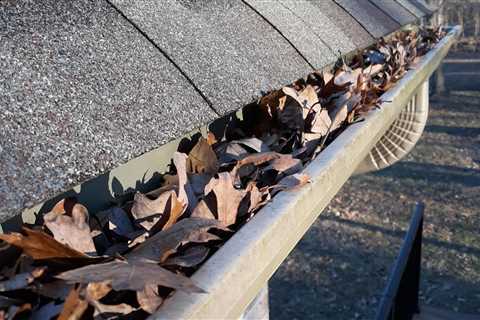 Gutter Companies In Virginia Beach: Clean Pro Gutter Cleaning Virginia Beach