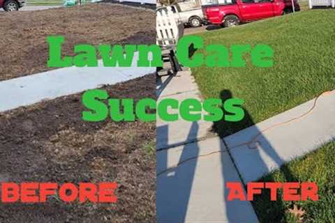 Finding Lawncare Success Can Be Easy: Fall Lawn Update!!#diy #lawn #mowing #grass