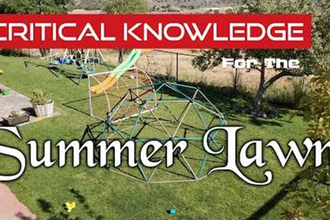 Deep Summer Lawn Care Guide For Cool Season Grass Types