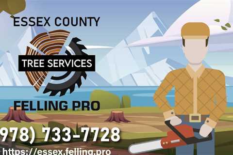 Essex County Felling Pro