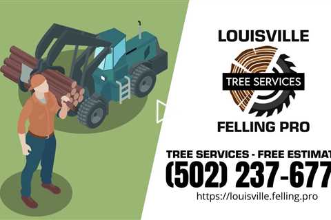 Tree Service Valley Station Kentucky - Louisville Felling Pro