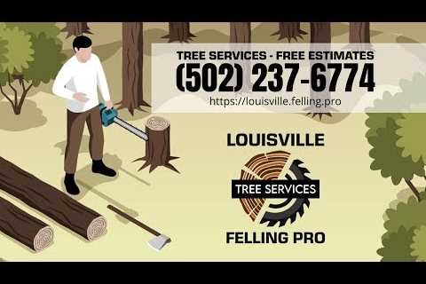 Tree Service Shively, KY