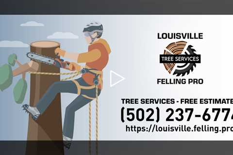 Tree Service in Jefferson County, Kentucky - Louisville Felling Pro