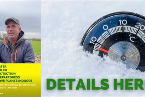 Cold Snap Preparation for Your Landscape | Tips the Pros Use