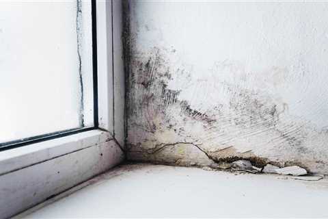 Can Mold in the Basement Affect Upstairs?