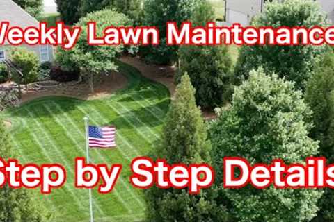 Weekly Lawn Maintenance Step by Step Details How To