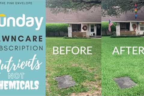 Sunday Lawn Care Review Subscription - Sunday Lawn Coupon + How-To - 1 Year Later Highly Recommend!