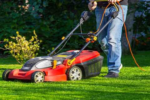 Tips for Switching To Electric Lawn Care