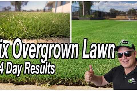 3 EASY FIXES for OVERGROWN LAWN Part 2: THE RESULTS (Just 14 Days!)