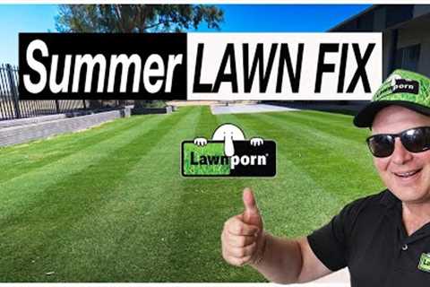 Summer Lawn Fix: Great Results 2023