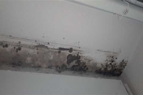 How do you stop mold from reappearing?