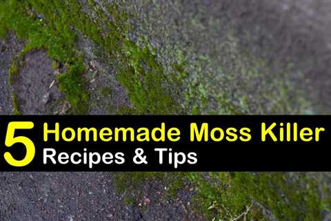 What is the Best Way to Remove Moss From a Lawn?