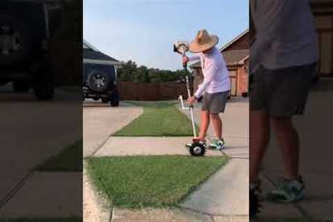 Oddly Satisfying Lawn Edging