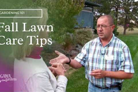 Tagawa Gardens Fall Lawn Care Tips