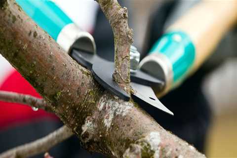 What and how does tree pruning work?