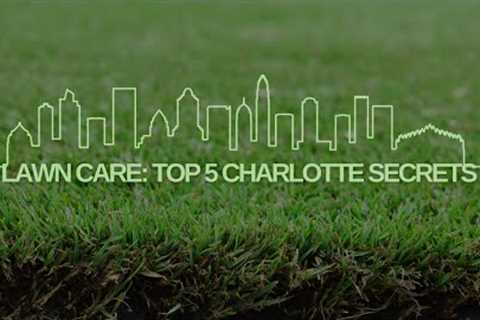 Lawn Care: Top 5 Charlotte Secrets