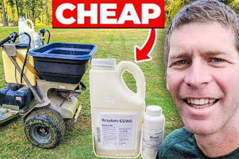 Cheap Weed Killer Combination I Sprayed on My Lawn This Fall