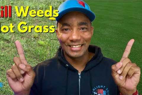 Kill Weeds and NOT Your Grass this Spring