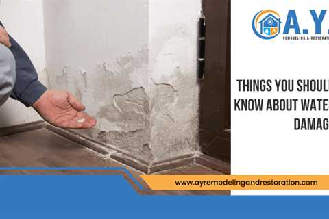 Things You Should Know About Water Damage