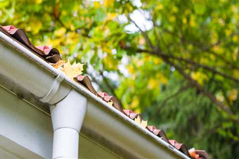 Home Plumbing Guide: Gutter Cleaning and Preventing Water Damage