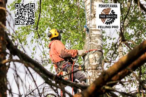 Downingtown Tree Service