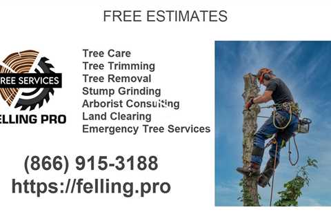 Felling Pro Tree Services