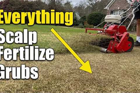 Spring Lawn Scalp Fertilizer and Grub Treatment
