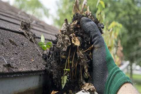 The Proper Way to Clean Your Gutters To Protect Home's Flooring