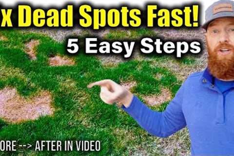 Repair dead patches in grass FAST!