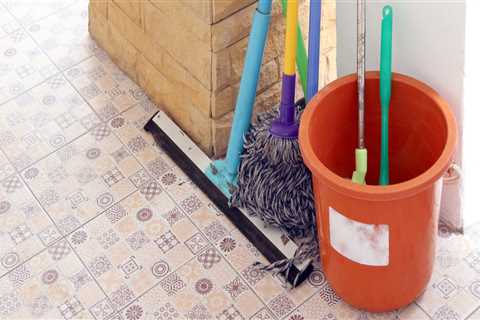 Customized House Cleaning Plan For Busy Professionals In Florida