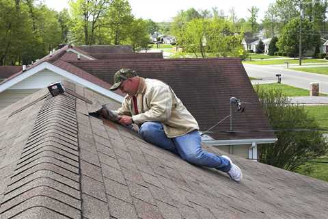 Why You Should Hire a Professional for Roof Repairs