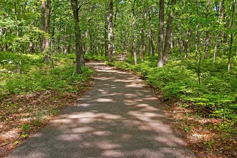 Michigan Paving and Materials