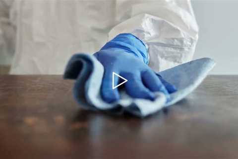 Stain Removal services | Stain Removal cleaning services near me | Stain Removal services nearby