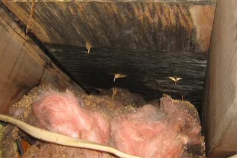 Can attic insulation touch the roof?