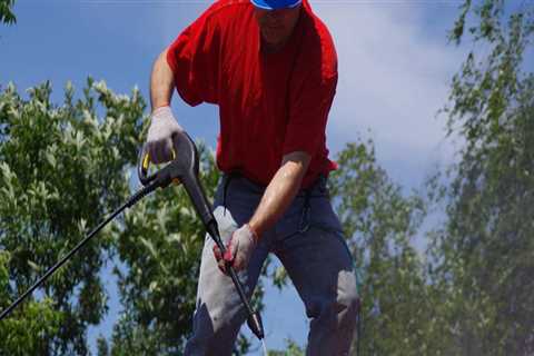 Does roof cleaning work?