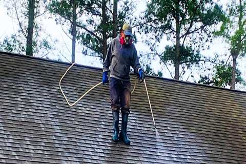 Does roof cleaning really work?