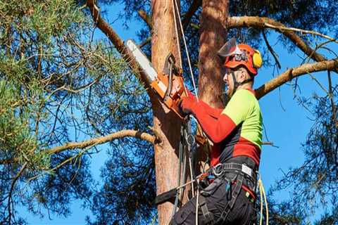 What is included in tree services?