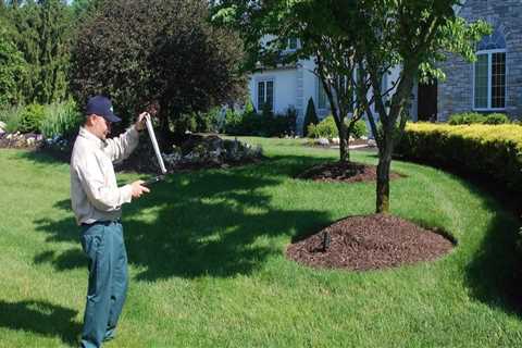 Lawn and tree maintenance?