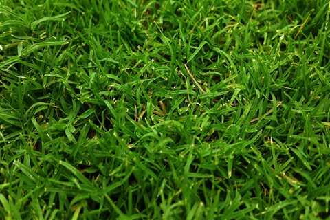 Does turf soak up water?