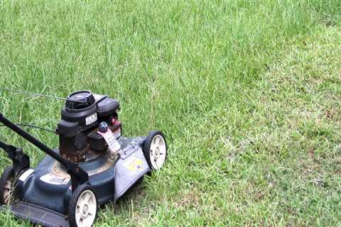 Is it better to mow the lawn more often?