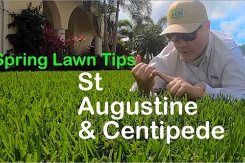 2020 Spring Lawn Tips: WARM SEASON // St Augustine, Centipede - 2020 RUNNING of the STOLONS