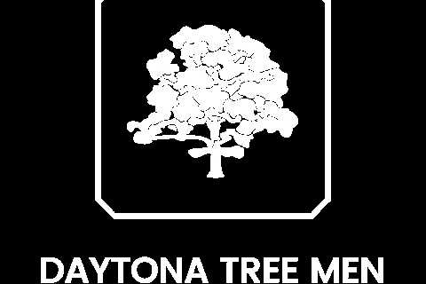 Contact Us - Daytona Tree Men