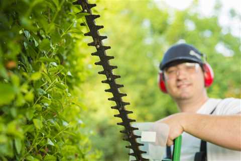 Tree Service Port Orange - Daytona Tree Men