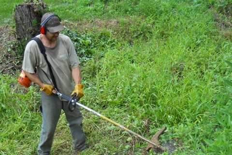 Lockhart – Tree Trimming San Antonio