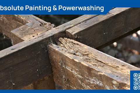 Standard post published to Absolute Painting and Power Washing at March 18, 2023 20:00