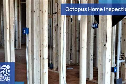 Standard post published to Octopus Home Inspections, LLC at March 11, 2023 20:00